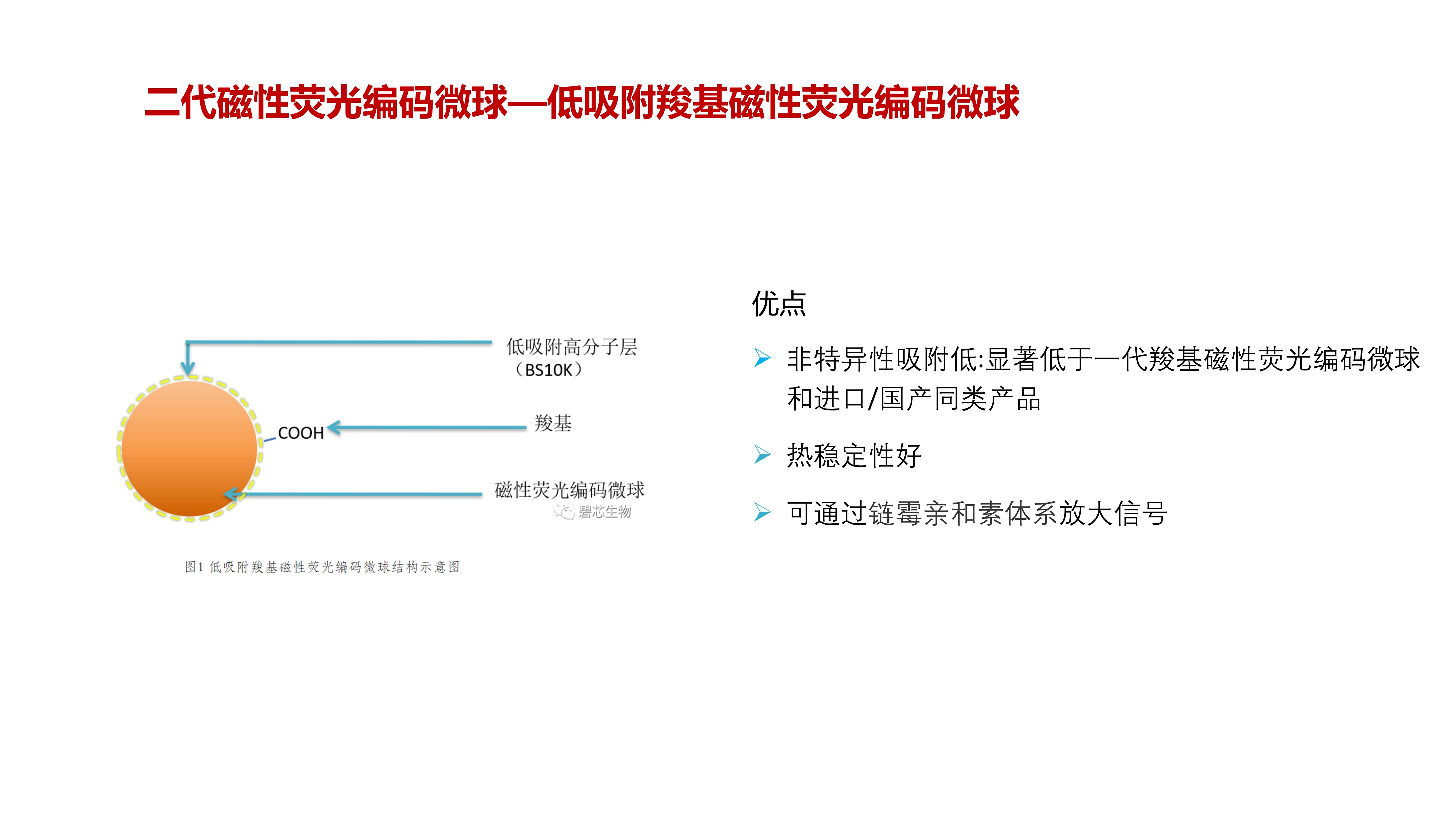 碧芯生物年度总结（微球产品介绍）